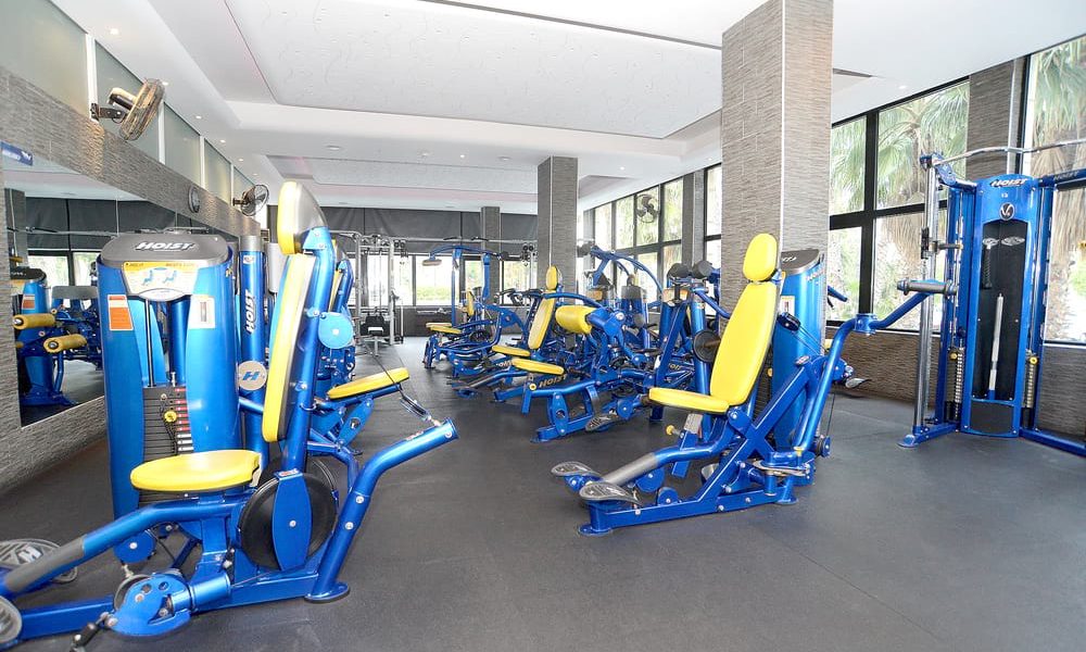 hoist gym fitness equipment