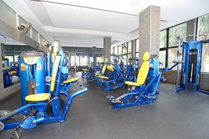 hoist gym fitness equipment