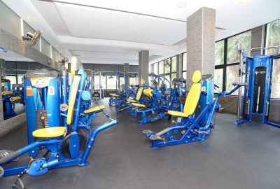 hoist gym fitness equipment