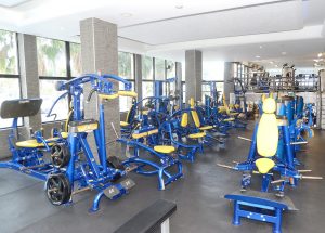 main gym fitness equipment